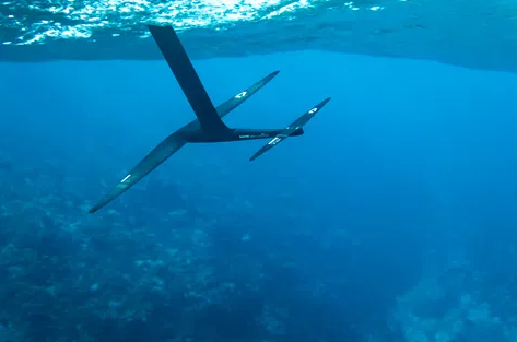 CREST D/LAB - DUOTONE – Image 2